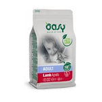 طعام القطط البالغة Oasy Dry باللحم الضأن، 1.5 كجم