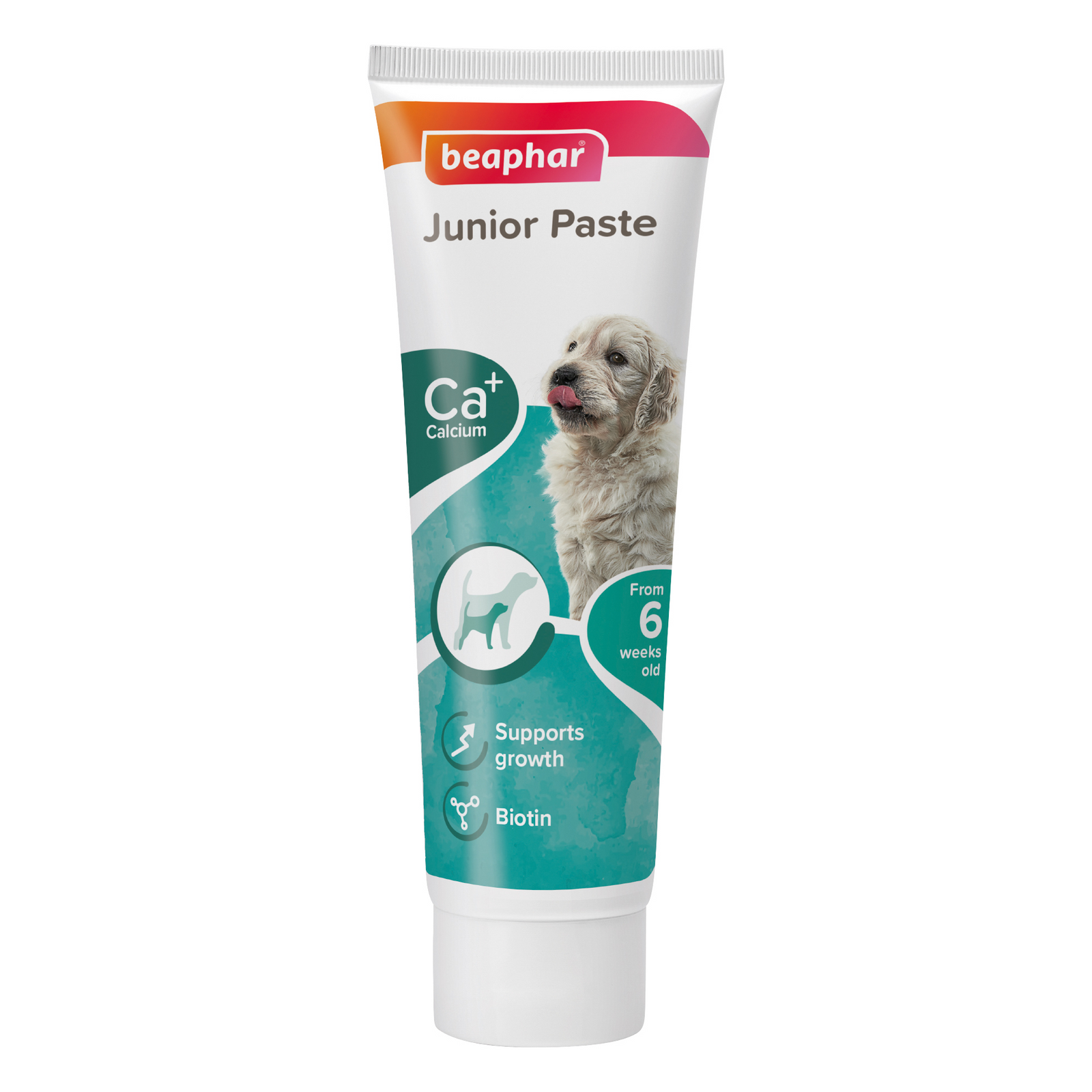 Junior Paste for Dogs 100 g