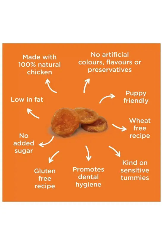 Chicken Chips Dog Treat 80g