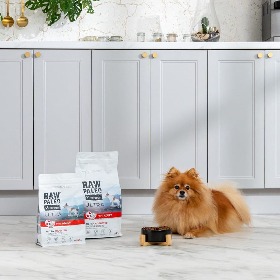 RAW PALEO Ultra Mini Adult Beef - dry dog food - 2 kg