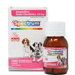 RX Spectrum® Amoxicillin-Clavulanic Acid tablets 250Mg