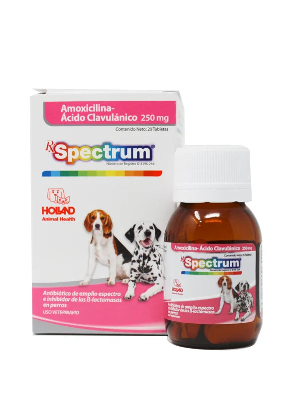 RX Spectrum® Amoxicillin-Clavulanic Acid tablets 250Mg