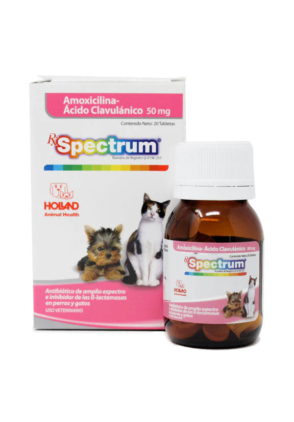 RX Spectrum® Amoxicillin-Clavulanic Acid 50 mg 20Tab