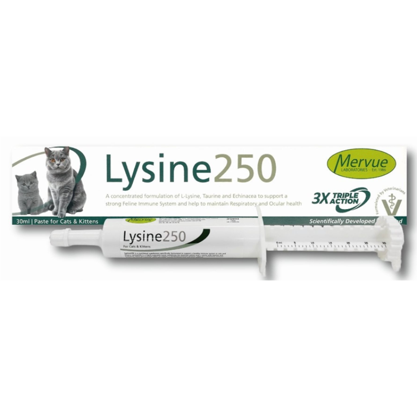 Mervue Lysine 250 Paste for Supporting Feline Immunity - 30 ml