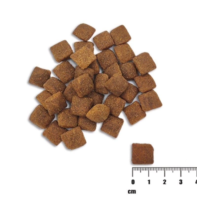 Vet Expert Raw Paleo with Salmon and Barley for Adult All Breeds Dry Dog Food 2kg